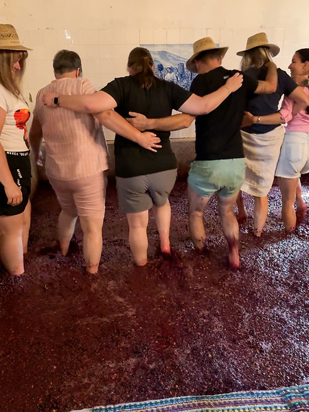 Stomping grapes